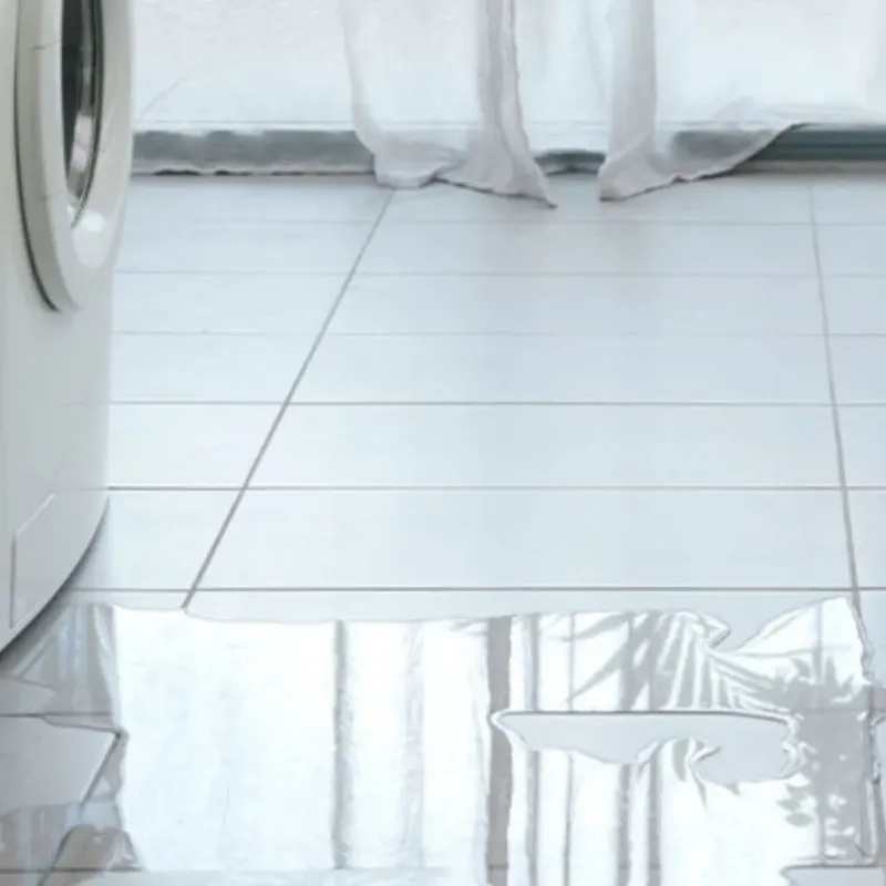 Appliance Leak Cleanup in Austin County, TX