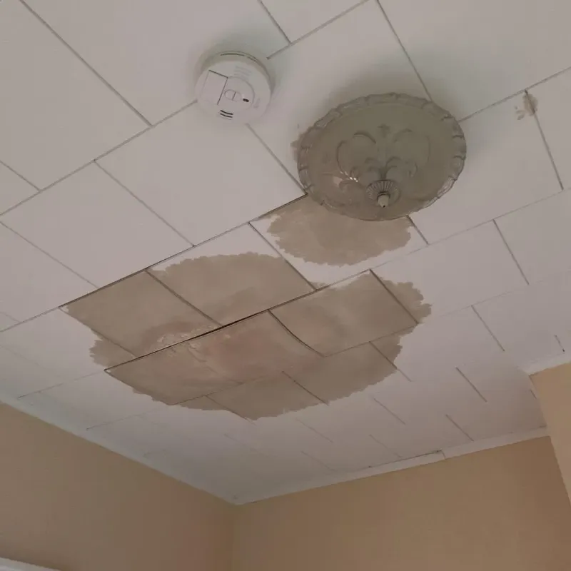 Ceiling Water Damage Repair in Austin County, TX