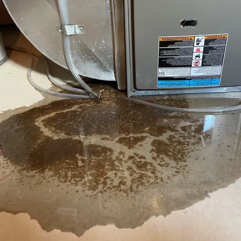Pipe Burst and Leak Restoration in Austin County, TX
