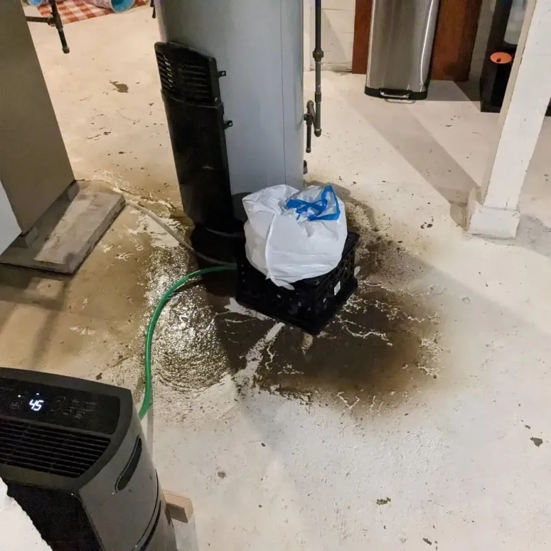 Sewage Backup Cleanup Service in Austin County, TX